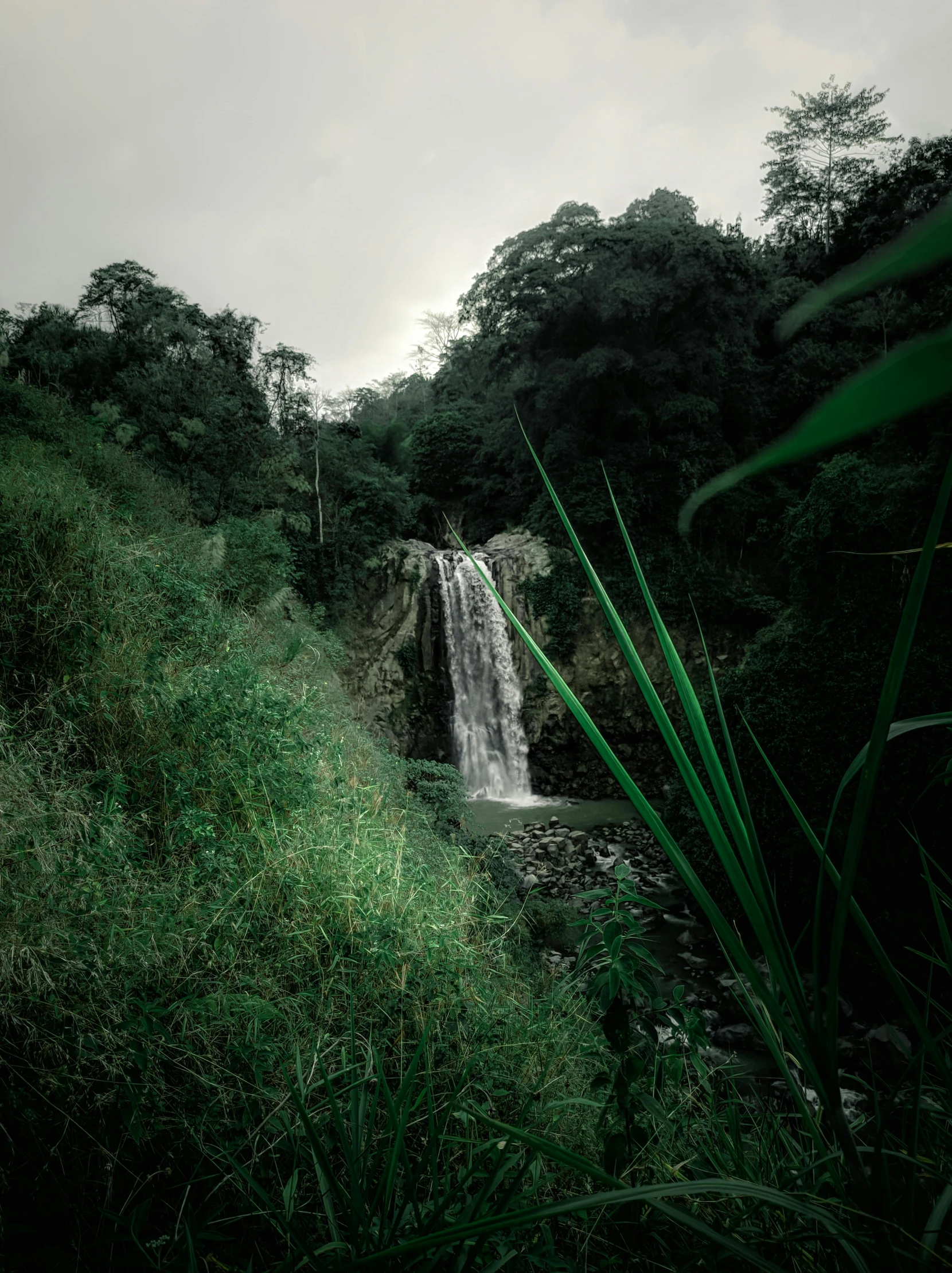 a waterfall in the middle of a lush green forest, an album cover, by Alejandro Obregón, pexels contest winner, long shot view, jamaica, low key, exterior shot