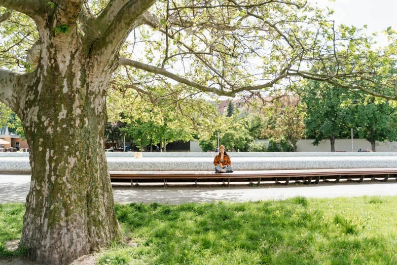 a person sitting on a bench under a tree, by Erwin Bowien, visual art, dezeen, vienna, panorama, musician