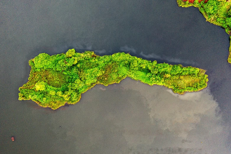 a green island in the middle of a body of water, by Jan Rustem, pexels contest winner, hurufiyya, 8k detail post processing, great river, colour corrected, top down perspecrive