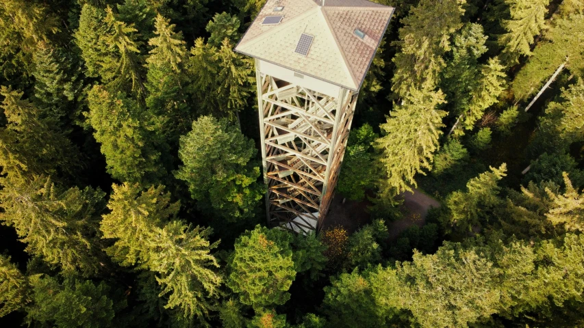 a tall tower in the middle of a forest, bird's eye overhead shot, wooden structures, erste boden, slide show