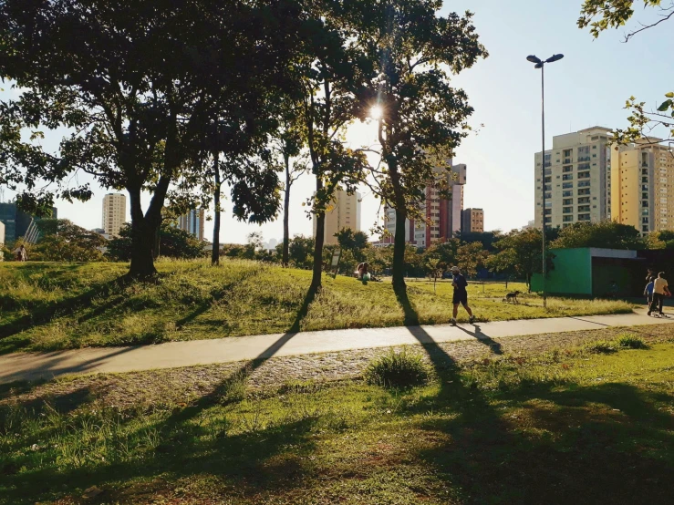 a couple of people that are standing in the grass, by Ceferí Olivé, traversing a shadowy city, sangyeob park, instagram photo, trees in foreground