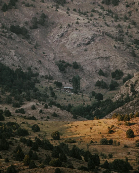 a herd of cattle grazing on top of a lush green hillside, by Ismail Acar, unsplash contest winner, les nabis, house in forest, kurdistan, muted fall colors, solitary cottage in the woods