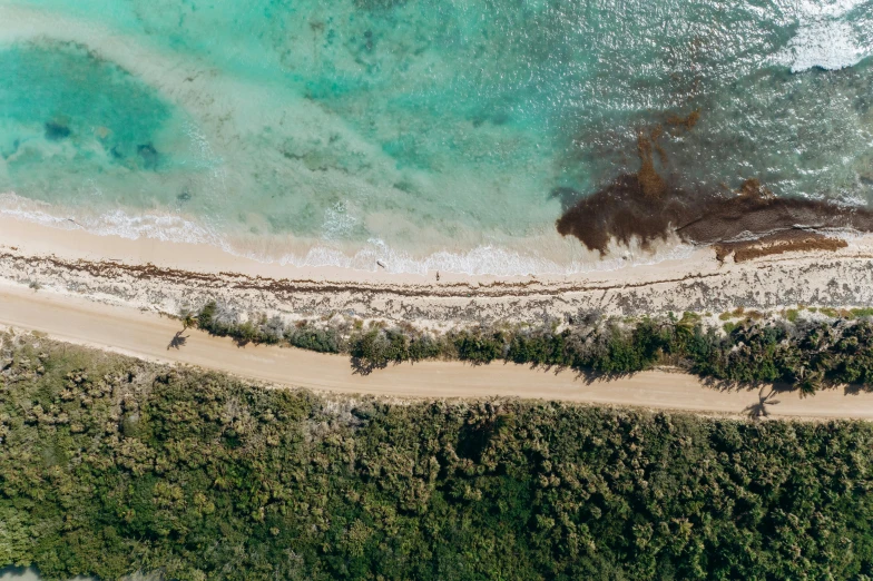 a large body of water next to a sandy beach, a screenshot, by Lee Loughridge, pexels contest winner, hurufiyya, down there, sydney park, beach and tropical vegetation, wall of water either side