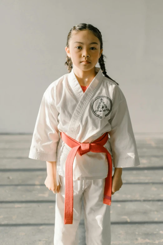 a little girl in a karate outfit posing for a picture, hands on hips, promotional image, promo image, embroidered robes