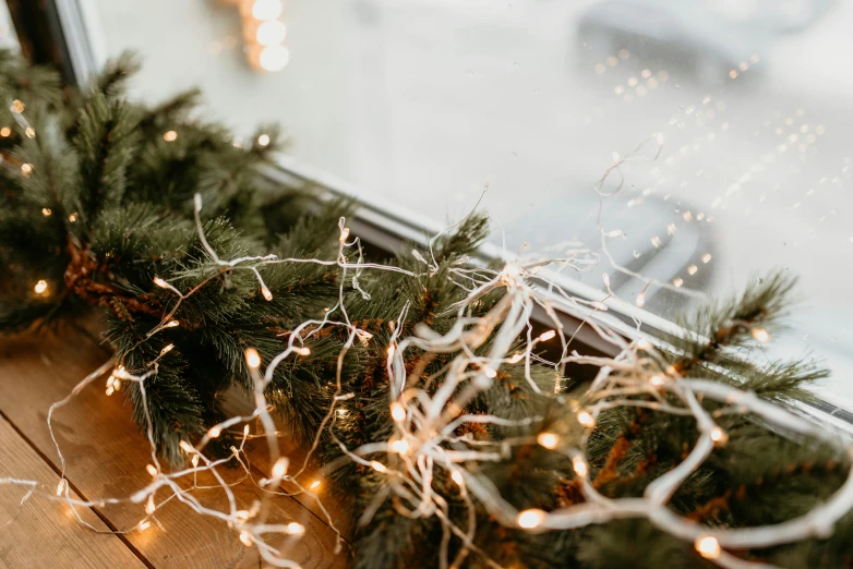 a close up of christmas lights on a window sill, by Emma Andijewska, trending on pexels, light and space, branches and ivy, ilustration, katey truhn, glowing with silver light