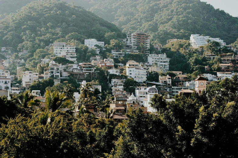 a group of buildings sitting on top of a lush green hillside, tropical coastal city, thiago lehmann, profile image
