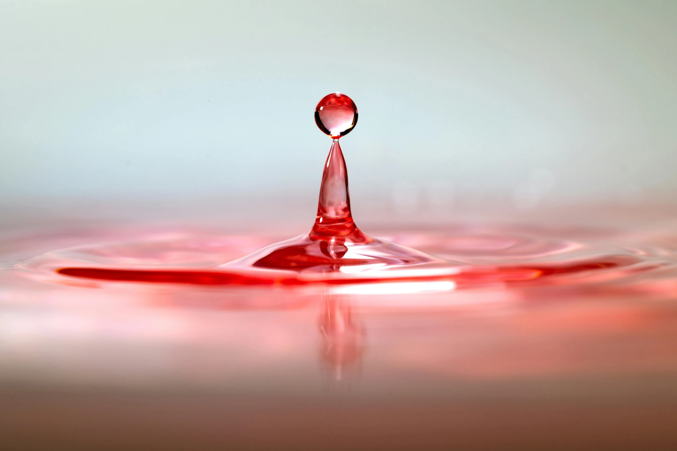 a close up of a red drop of water, pexels, semi - realistic render, photorealistic shot, pink, award-winning art