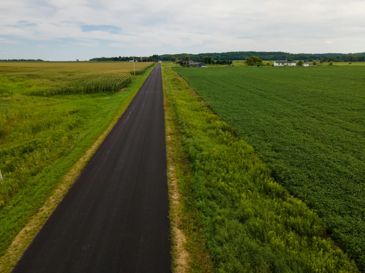 an aerial view of a country road in the middle of a field, by Daniel Seghers, pexels contest winner, photorealism, iowa, black road, long shot wide shot full shot, full color photograph