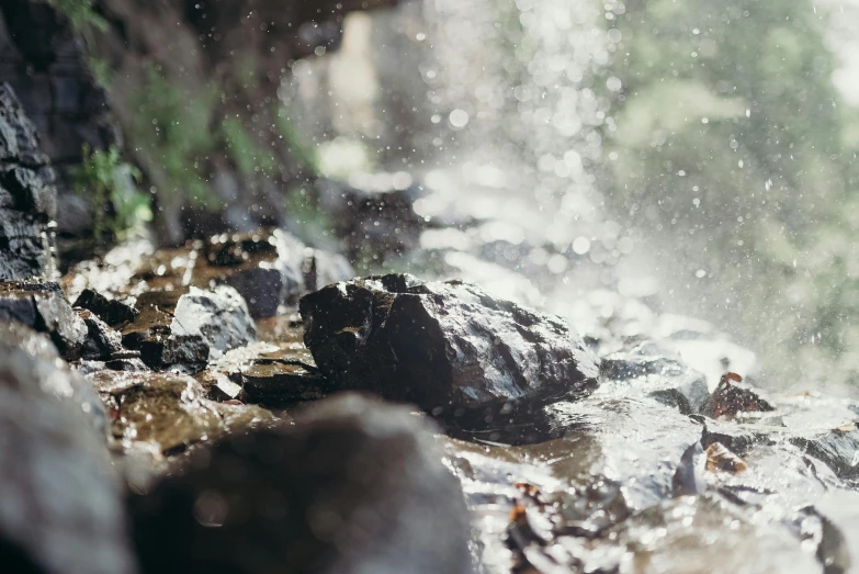 a close up of a stream of water with rocks and trees in the background, unsplash, particles and dust in the air, background image, rain lit, exterior shot