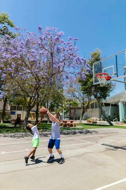 a group of young men playing a game of basketball, purple flower trees, mission arts environment, ultra - wide view, shot on iphone 1 3 pro max