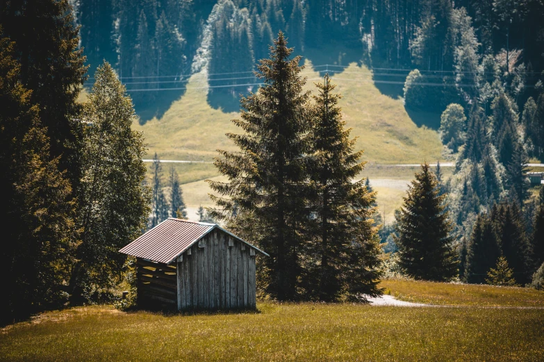 a small cabin sitting on top of a lush green field, by Sebastian Spreng, pexels contest winner, pine trees in the background, brown, hot summer day, alpes