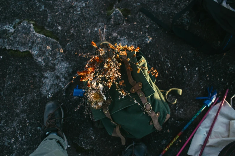 a backpack with a bunch of flowers on top of it, by Jessie Algie, pexels contest winner, lichens, high angle view, fire lit, casually dressed