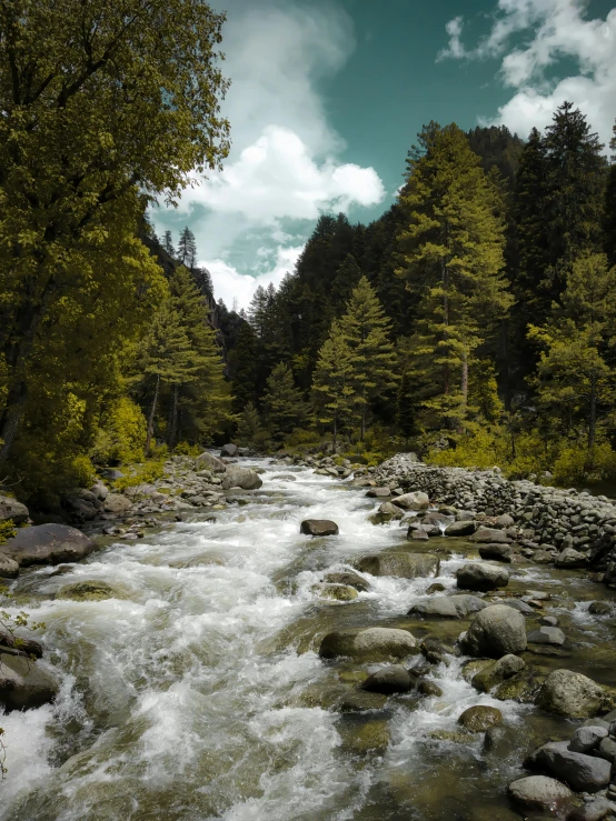 a river running through a lush green forest, by Muggur, today\'s featured photograph 4k, pine forests, cinematic view!!!, grey