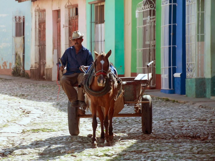 a man riding a horse drawn carriage down a cobblestone street, múseca illil, avatar image, square, colorfully