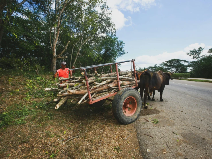 a man riding on the back of a horse drawn cart, by Ceferí Olivé, unsplash, deforestation, sustainable materials, puerto rico, avatar image