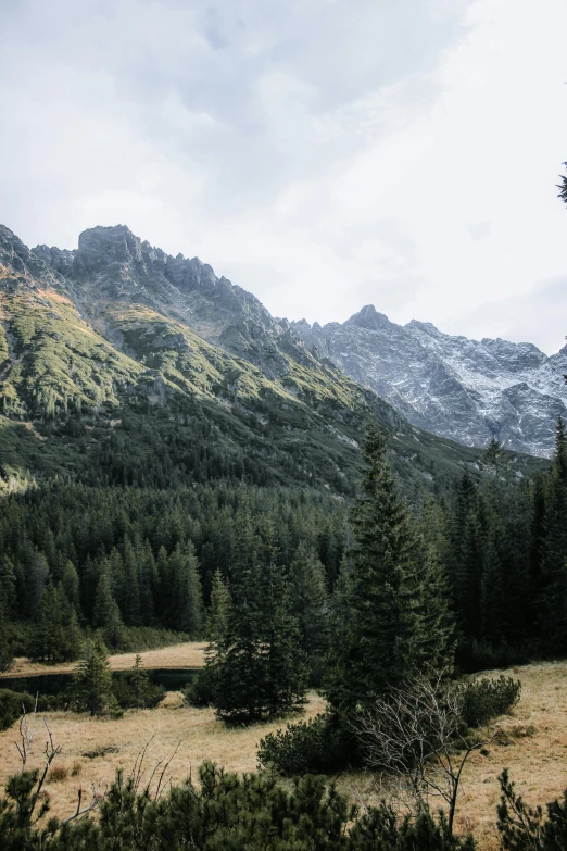 a field with trees and mountains in the background, a picture, by Sebastian Spreng, unsplash, rocky terrain, poland, in an epic valley, large tall