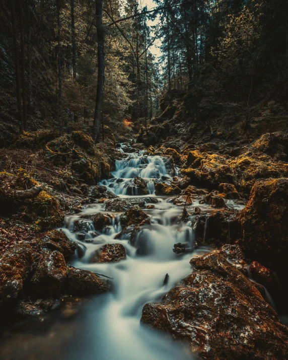 a stream running through a forest filled with rocks, by Johannes Voss, unsplash contest winner, portrait shot 8 k, multiple stories, brown water, magma cascades