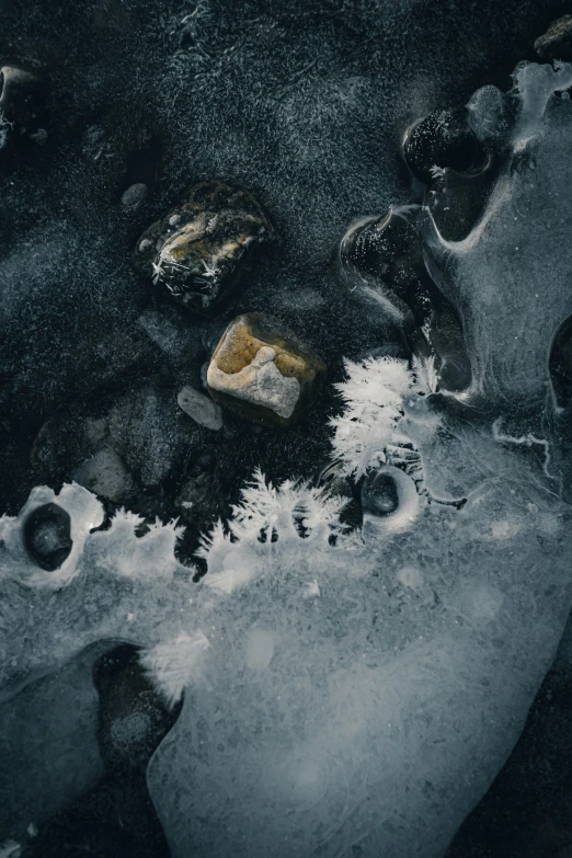 a close up of an ice covered body of water, a microscopic photo, unsplash contest winner, conceptual art, charcoal and champagne, iceland, ilustration, spores