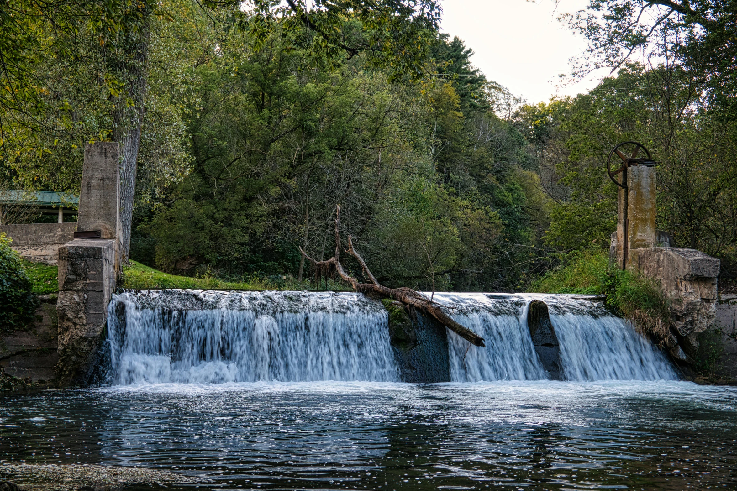 a small waterfall in the middle of a forest, by Jan Rustem, pexels contest winner, hurufiyya, trees bent over the river, panels, thumbnail, splash image