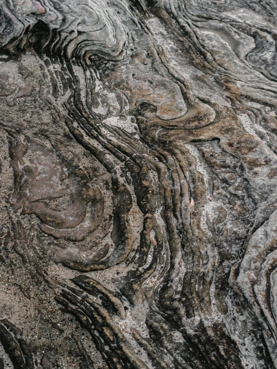 a close up of a rock with patterns on it, trending on unsplash, rippling muscles, high - resolution scan, wood surface, grey