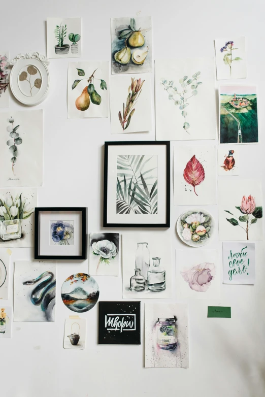 a wall that has a bunch of pictures on it, a watercolor painting, inspired by Art Green, trending on pexels, visual art, botanical drawing, flatlay book collection, stickers, product introduction photo