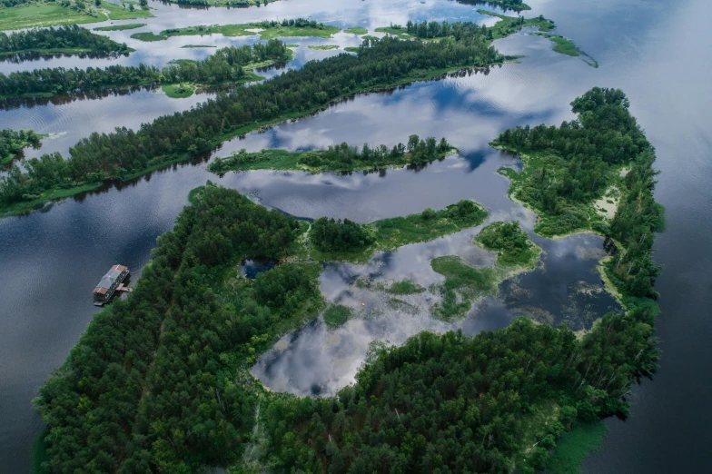 a large body of water surrounded by trees, by Grytė Pintukaitė, pexels contest winner, hurufiyya, flooded fishing village, aerial view of an ancient land, thumbnail, minn