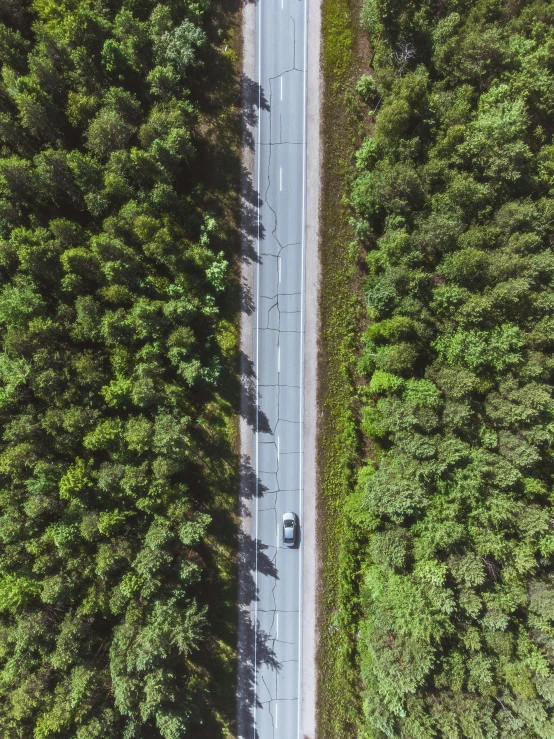 a car driving down a road in the middle of a forest, espoo, overview, thumbnail, detailing