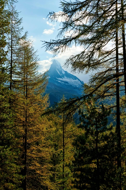 a mountain in the distance with trees in the foreground, by Karl Gerstner, pexels contest winner, slide show, switzerland, full frame image