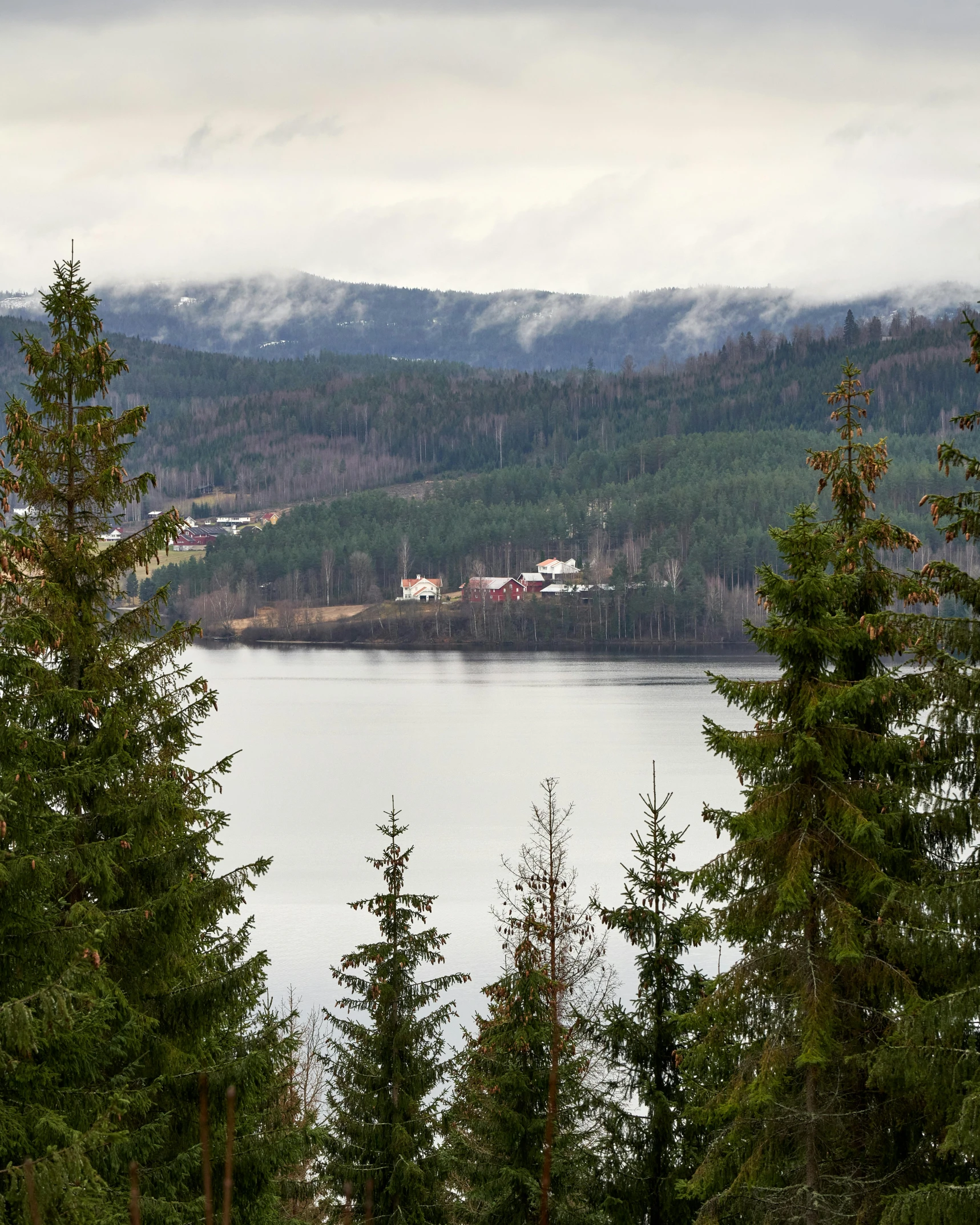 a large body of water surrounded by trees, a picture, by Else Alfelt, pexels contest winner, snowy fjord, hills in the background, festivals, panorama distant view