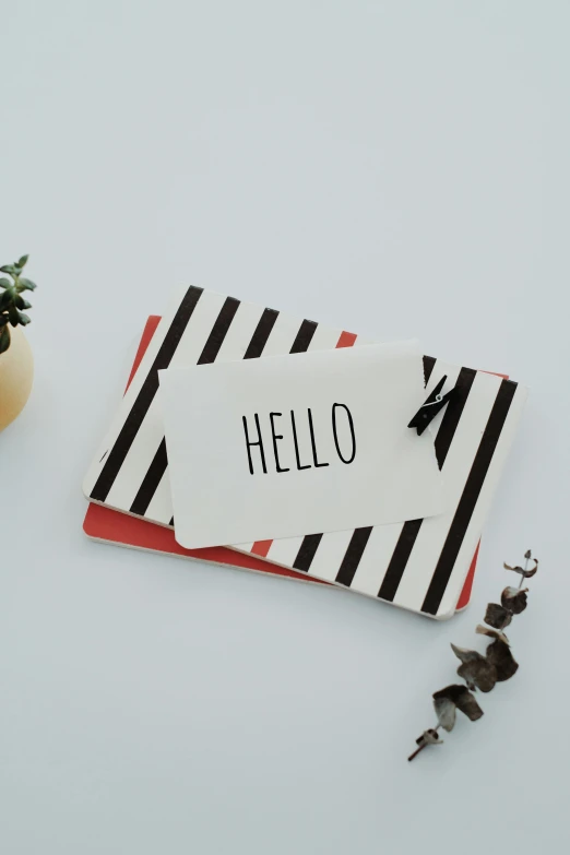 a note that says hello next to a potted plant, a black and white photo, unsplash, happening, striped, pair of keycards on table, porcelain, red white and black color scheme