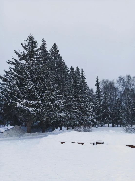 a man riding skis down a snow covered slope, by Jaakko Mattila, pexels contest winner, land art, spruce trees on the sides, in a city park, overcast gray skies, photo on iphone