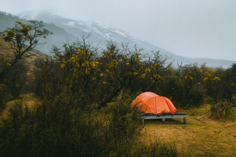 an orange tent sitting in the middle of a field, by Jessie Algie, unsplash contest winner, grey skies rain, manuka, in an arctic forest, volcanic