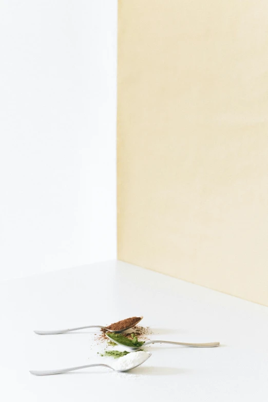 a sandwich sitting on top of a plate next to a fork, by Nina Hamnett, postminimalism, white background wall, malt, insect, ocher