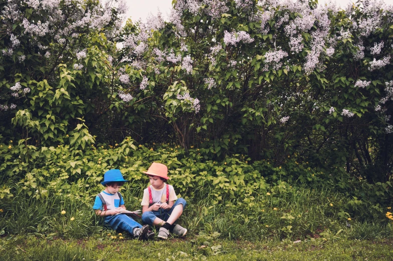 a couple of kids sitting on top of a lush green field, by Lucia Peka, pexels contest winner, lilac bushes, letterboxing, street photo, 🌸 🌼 💮