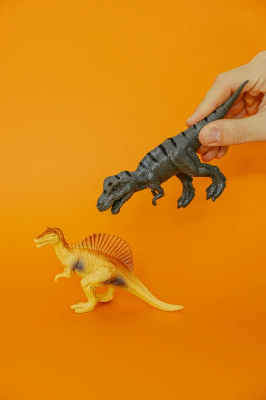 a close up of a person holding a toy dinosaur, in front of an orange background, spinosaurus, posable pvc, a small