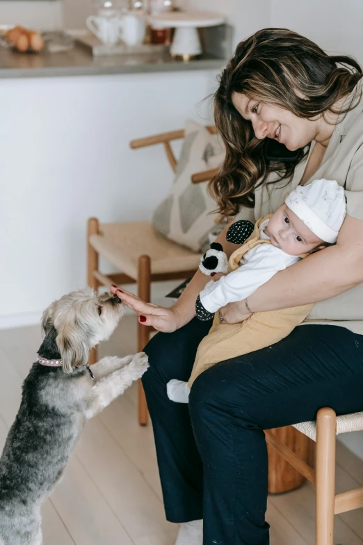 a woman holding a baby and a dog, by Nicolette Macnamara, pexels contest winner, modernism, manuka, scandinavian design, playing, 1 2 9 7