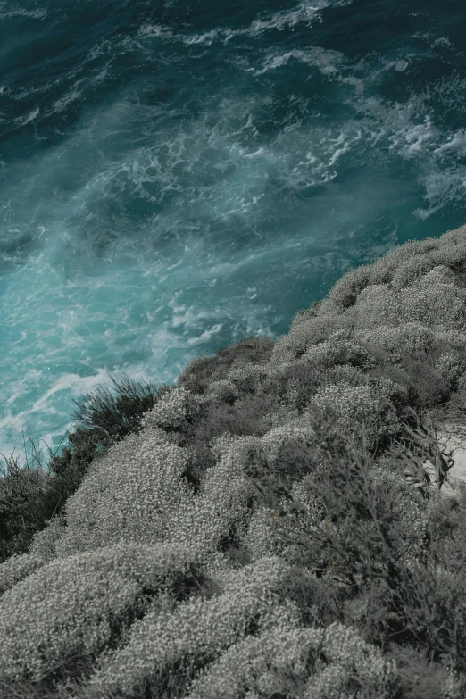 a man standing on top of a cliff next to the ocean, inspired by Elsa Bleda, unsplash contest winner, australian tonalism, shrubs, pale cyan and grey fabric, close-up from above, sea foam