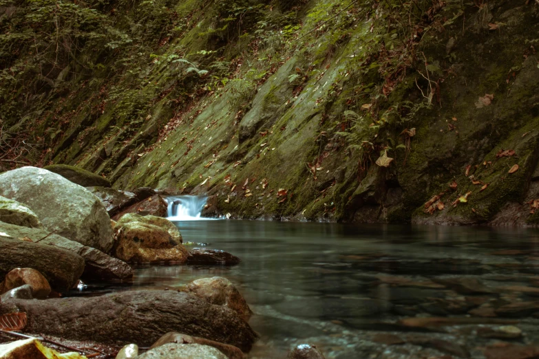 a stream running through a lush green forest, an album cover, pexels contest winner, sumatraism, mysterious canyon streams, brown, medium format. soft light, puerto rico