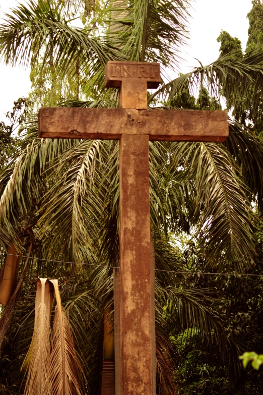 a wooden cross sitting on top of a lush green forest, hurufiyya, a palm tree, about 3 5 years old, rust, tall