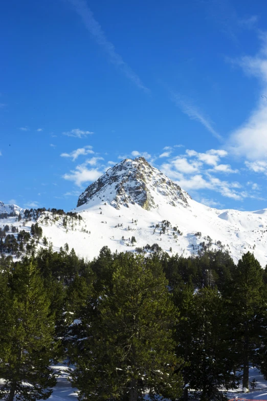 a man riding skis down a snow covered slope, les nabis, seen from afar, cone shaped, in avila pinewood, peaks