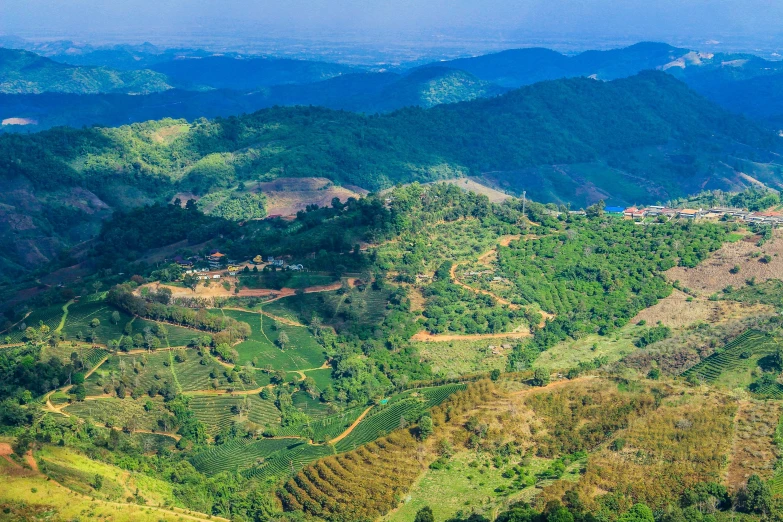 a view of a valley with mountains in the background, a tilt shift photo, pexels contest winner, sumatraism, panorama distant view, assam tea garden setting, puerto rico, staggered terraces