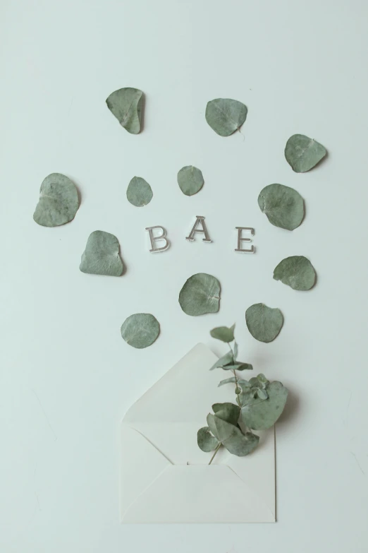 a white envelope sitting on top of a white table, inspired by Cui Bai, unsplash contest winner, environmental art, babe, concrete poetry, with ivy, seaglass