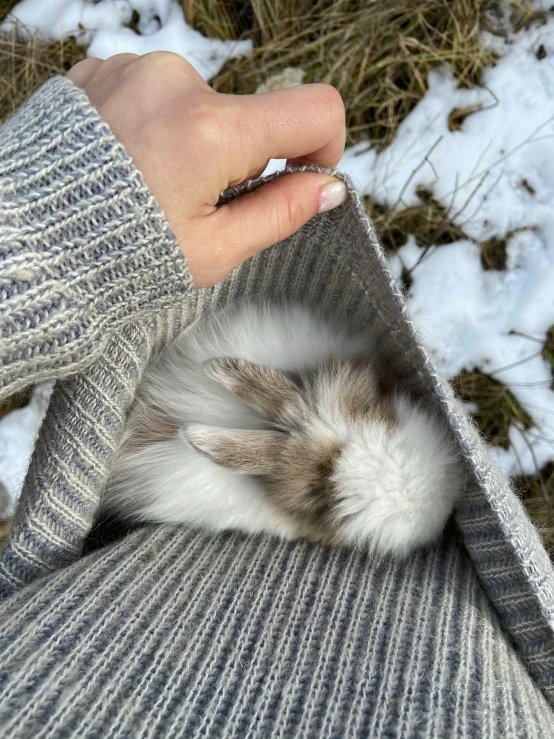 a person is petting a rabbit in the snow, by Anna Haifisch, happening, hibernation capsule close-up, lined in cotton, comfy, small in size