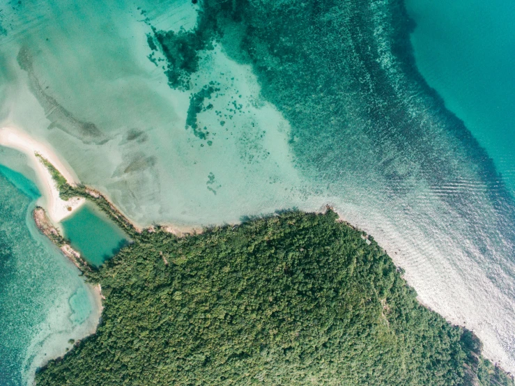 an aerial view of an island in the middle of the ocean, pexels contest winner, cyan and green, thumbnail, australian beach, beach and tropical vegetation