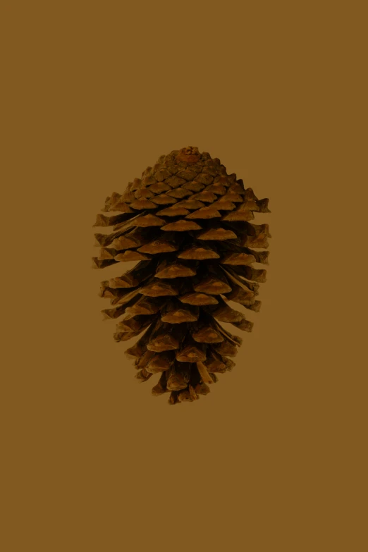 a pine cone on a brown background, an album cover, an ai generated image