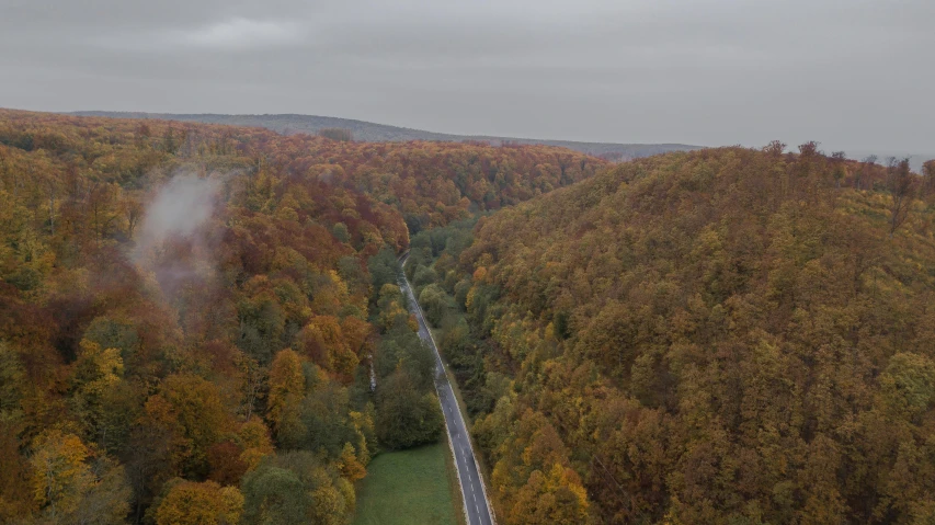 a train traveling through a lush green forest, by Werner Gutzeit, pexels contest winner, les nabis, autumn colour oak trees, drone wide shot, overcast, hilly road