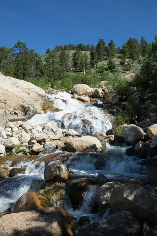 a man standing on top of a rock next to a river, bristlecone pine trees, several waterfalls, slide show, square