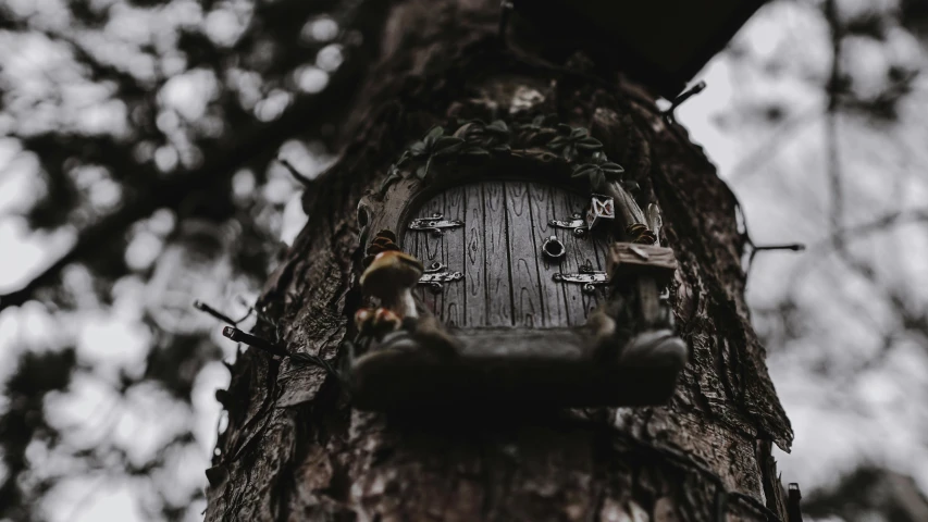 a close up of a tree with a birdhouse on it, pexels contest winner, magical realism, a door you must never open, elves house, tiny mice living inside, haunted forest