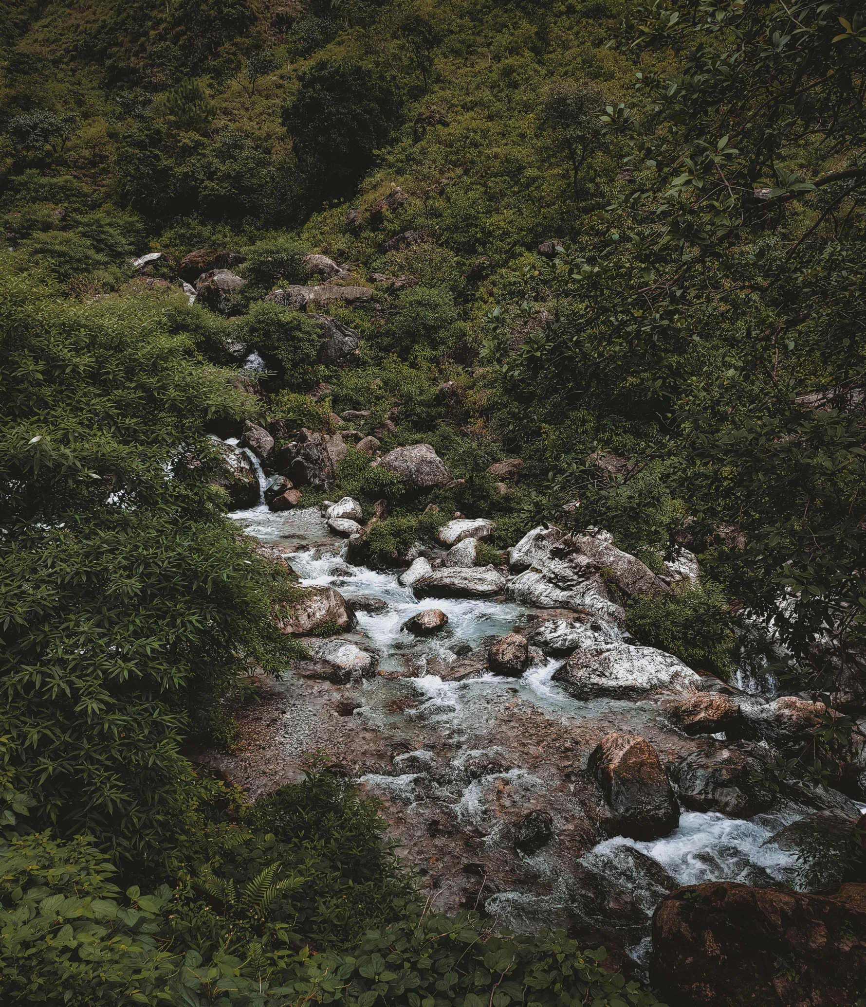 a stream running through a lush green forest, an album cover, pexels contest winner, hurufiyya, nepal, rocky roads, low quality photo, lo-fi