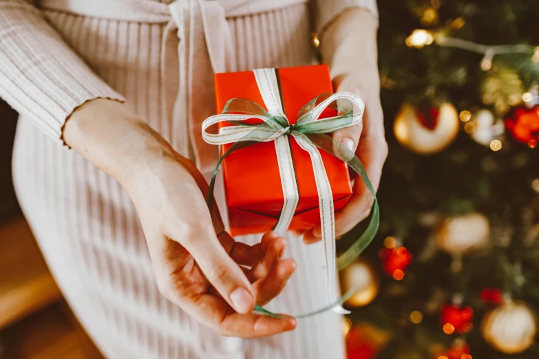 a woman holding a red present in front of a christmas tree, pexels contest winner, hurufiyya, hands pressed together in bow, square, gif, [ organic